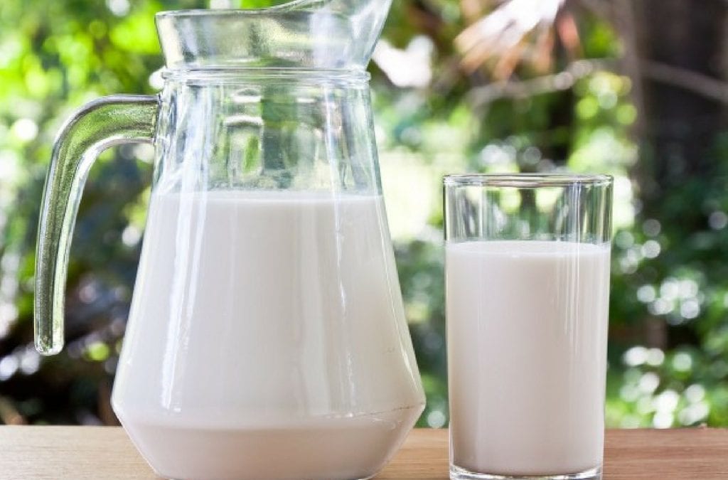 Are Non-Dairy Milks Good for Kids?
